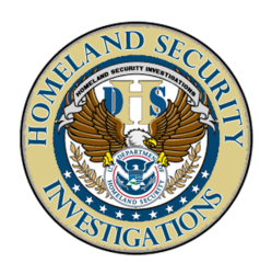Homeland Security Investigations